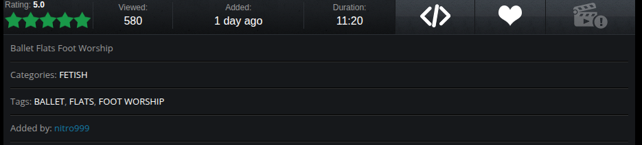 動画頁の記録欄。Rating、Viewed、Added、Duration と、題、Categories、Tags、Added by が並ぶ
